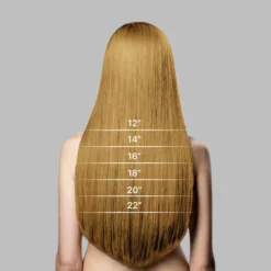 Q12HP Premium Remy Human Hair Topper | French Lace Top Piece -Hair Care Product Store Hairlength 22504.1689615176