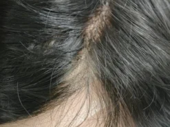 Mens Toupee M105 8"x 10" French Lace Hair System 30 Mens Toupee M105 8"x 10" French Lace Hair System -Hair Care Product Store a35c36fb8bf4cea81ff377b275c0c464.image .733x550 95468.1611679736