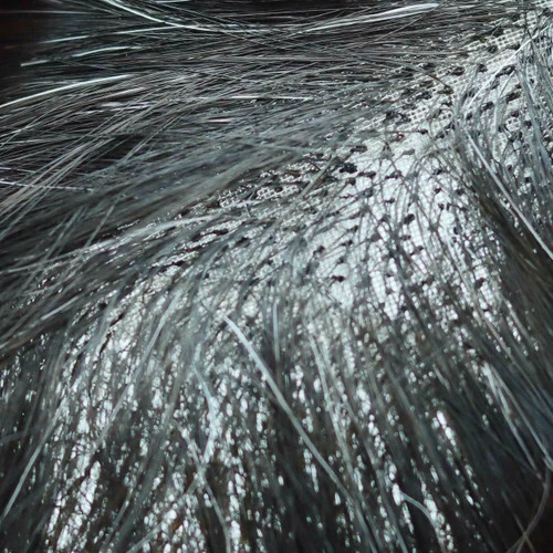 Mens Toupee M100 6.5"x 8.5" Mono Top 15 Mens Toupee M100 6.5"x 8.5" Mono Top - Image 15